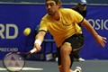 Baghdatis i Robredo out