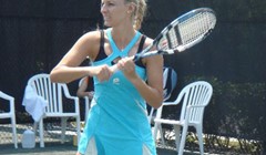 Lučić sretnije ruke