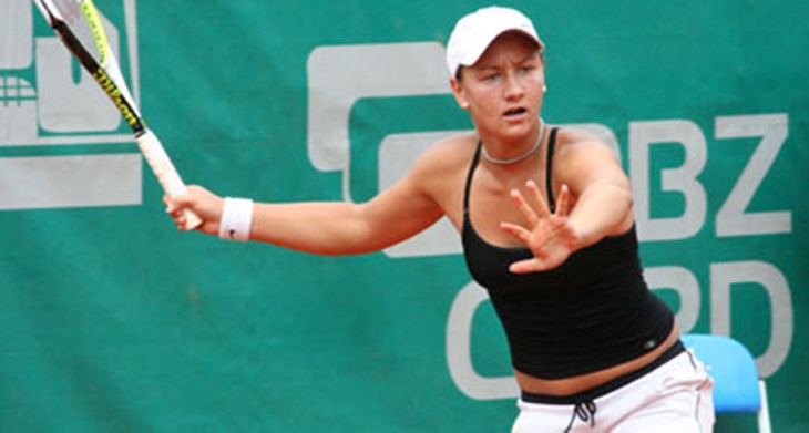 Lisjak platila danak servisu