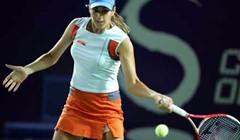 Mamić u dubokom glibu