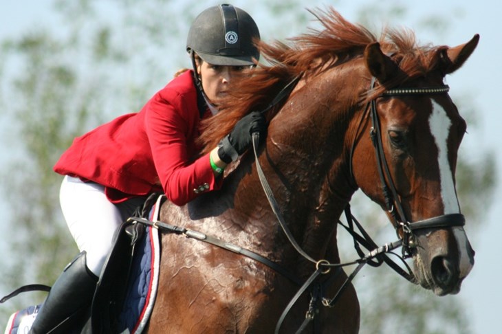 FEI World Challenge