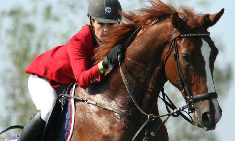 FEI World Challenge