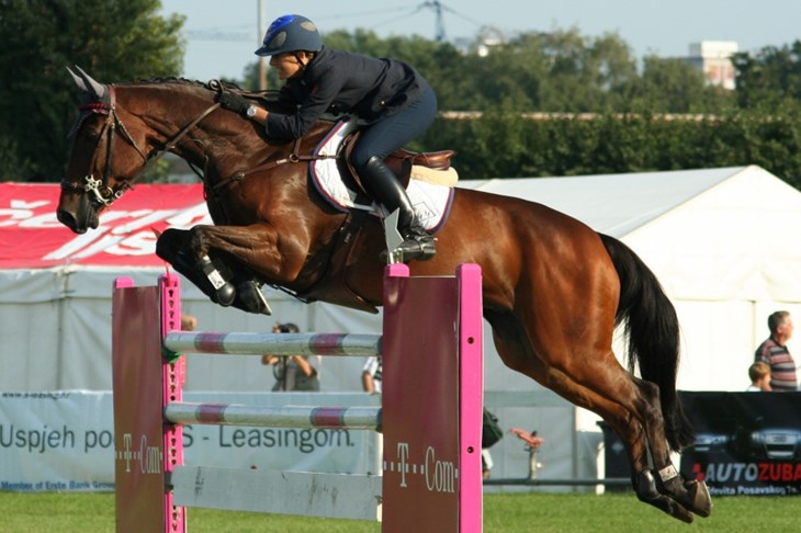 SAD i Nizozemska trijumfalno