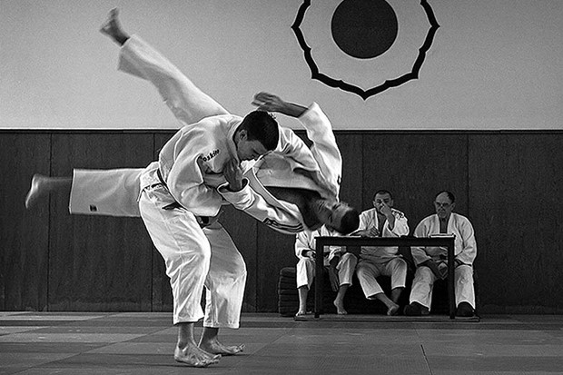 Novi judo majstori