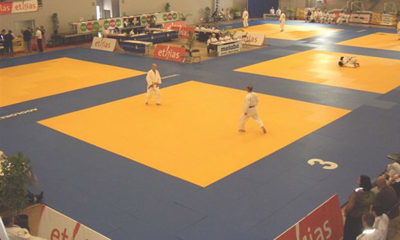 Matić i Kokeza osvojile medalje!