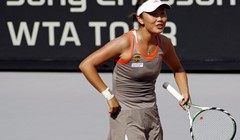 Istočnjačke muke Govortsove