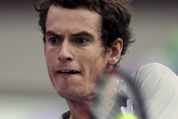 Murray nastavlja niz, Davidenko predao