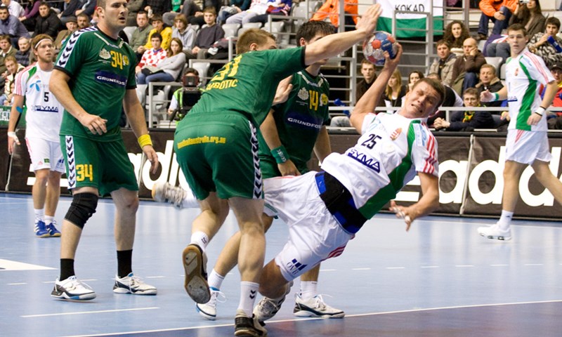 Klokani pregaženi