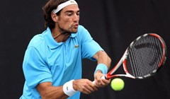 Francusko finale u Južnoj Africi