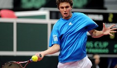 Ljubičić protiv Simona