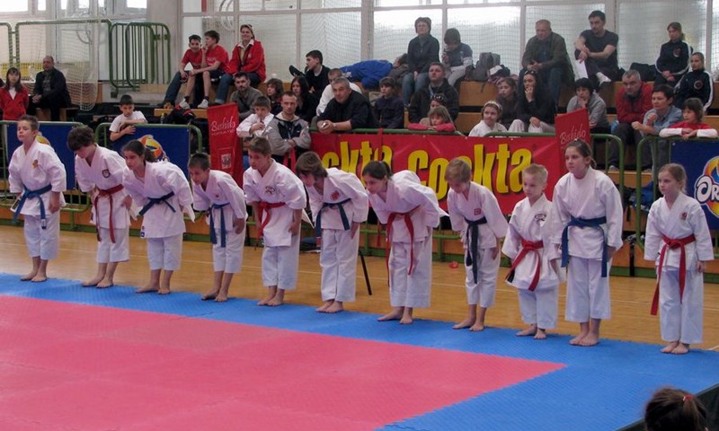 Bushido karate kup prijateljstva