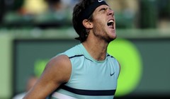 "Del Potro nije igrao posebno"