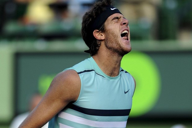 "Del Potro nije igrao posebno"