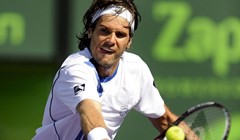 Pao i branitelj naslova