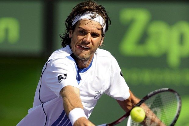 Pao i branitelj naslova