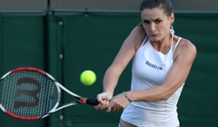 Počeo pomor nositeljica