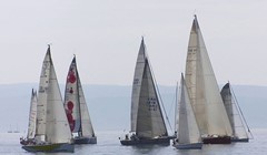 Startala Regata Palagruža