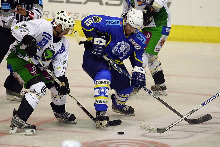 Medvjedi prvi puta poraženi