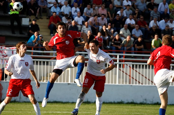 Cibalia osramoćena u Labinu