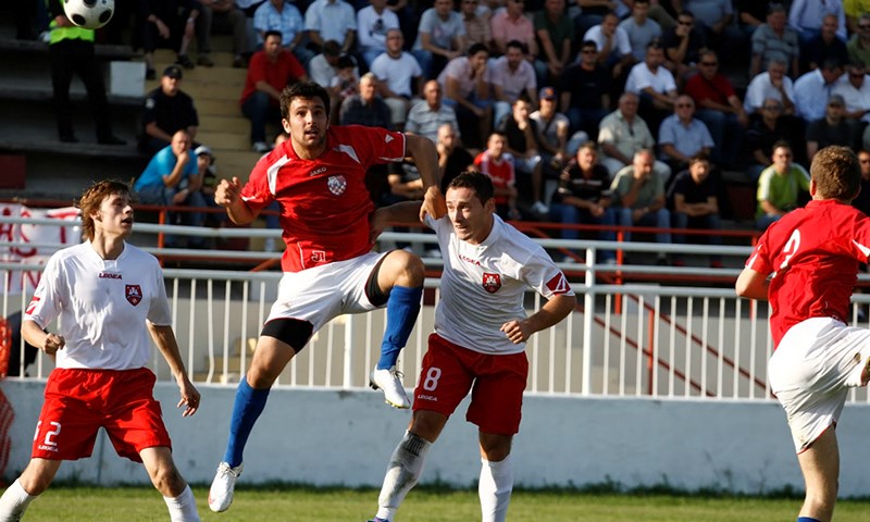 Cibalia osramoćena u Labinu