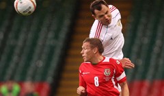 Bellamy bez kazne, navijaču zabrana