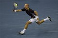 Davidenko ili Verdasco