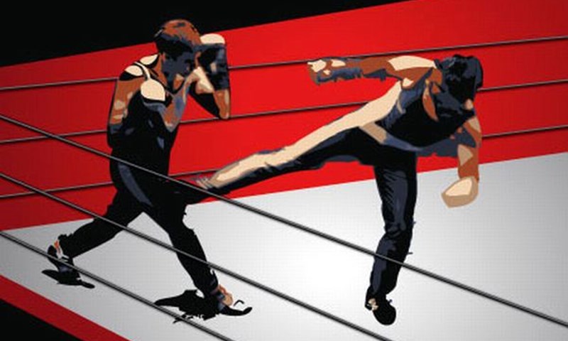 Otvoreno savate prvenstvo Zagreba