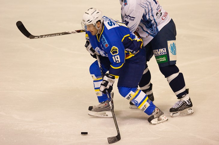 Pohod Medveščaka na Mađarsku