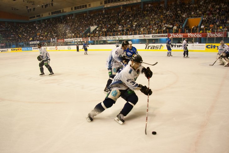 Alba Volan skupo prodala kožu