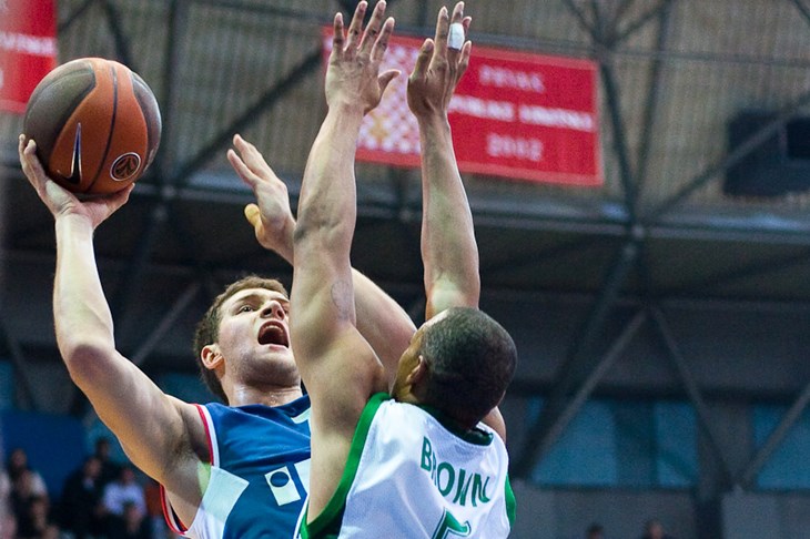 Cibonina nova prilika