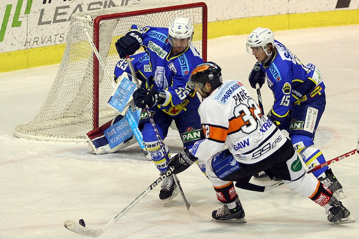 Nervoza pojela Medvjede