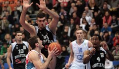 Cibonina "dvica" protiv Partizana