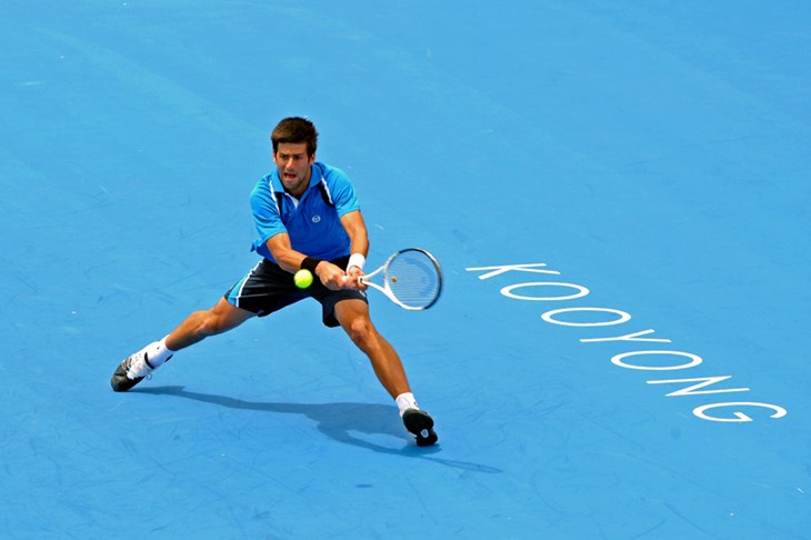 Nalbandian otkazao, Đoković spreman