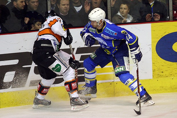 Ouellette "jako motiviran" za Medvjede