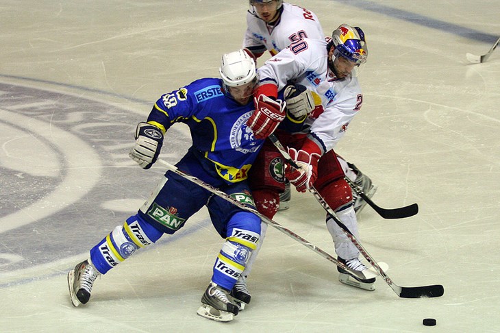 Ranjeni medvjed je najopasniji