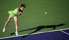 Šetnja Dementijeve i Janković