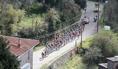 Fedrigo za Francusku nakon 2003.