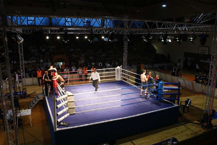Europsko  prvenstvo  u kickboxingu