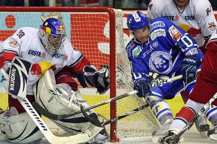 Bikovi kod probuđenih Medvjeda