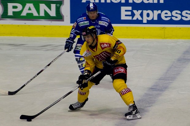 Visok poraz Medvjeda