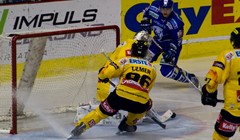 Video: Hokejašu Vienne 16 utakmica kazne