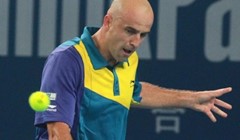 Ljubičićeva crna mačka