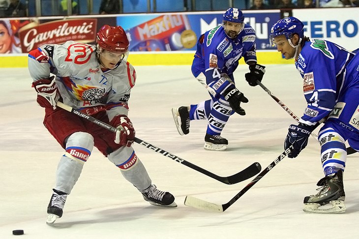 Medvjedima u Jesenicama zabio i vratar