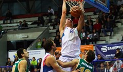 Cibosi podignuli Draženov dom na noge