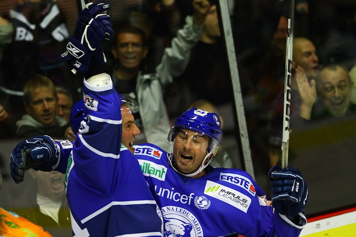 Medveščak pred teško osvojivom utvrdom