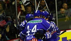 Medvjedi isprobavaju kanadskog braniča