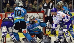 Medvjedi opet prosuli vodstvo