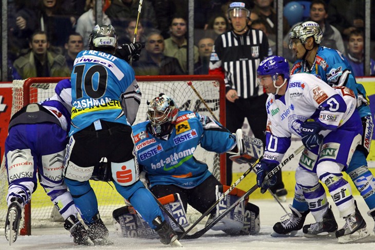 Medvjedi opet prosuli vodstvo