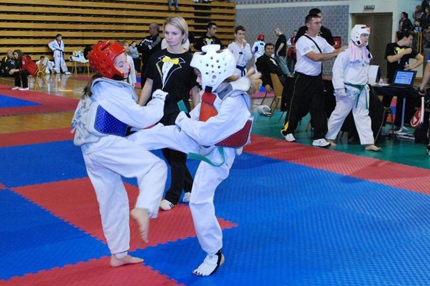 Zagrebački taekwondo turnir za pomoć malom dječaku