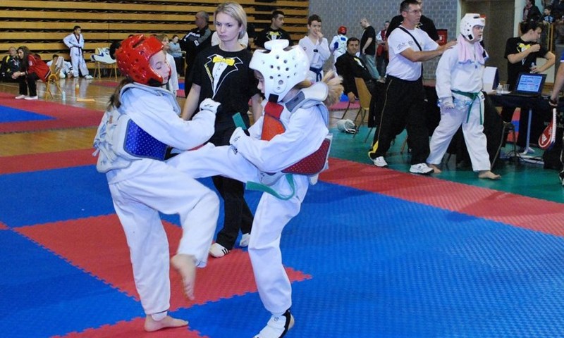 Zagrebački taekwondo turnir za pomoć malom dječaku
